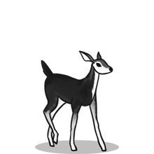 快速协议转换的{固定网站名称23}